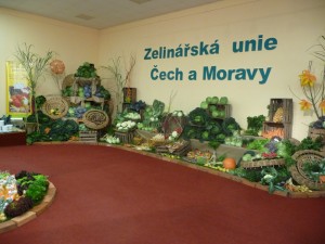 Foto zpr.3